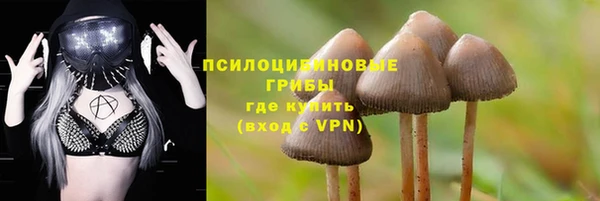 2c-b Новокубанск