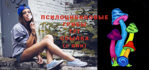 герыч Новозыбков
