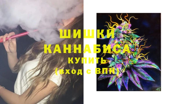 mdma Новодвинск