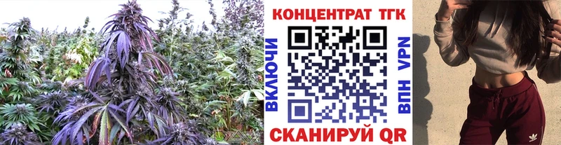 ТГК жижа Анива